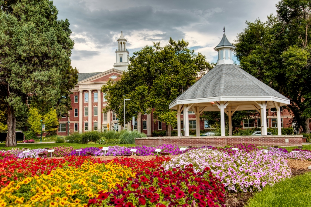 How to Plan a Local Move in Fort Collins Without the Stress