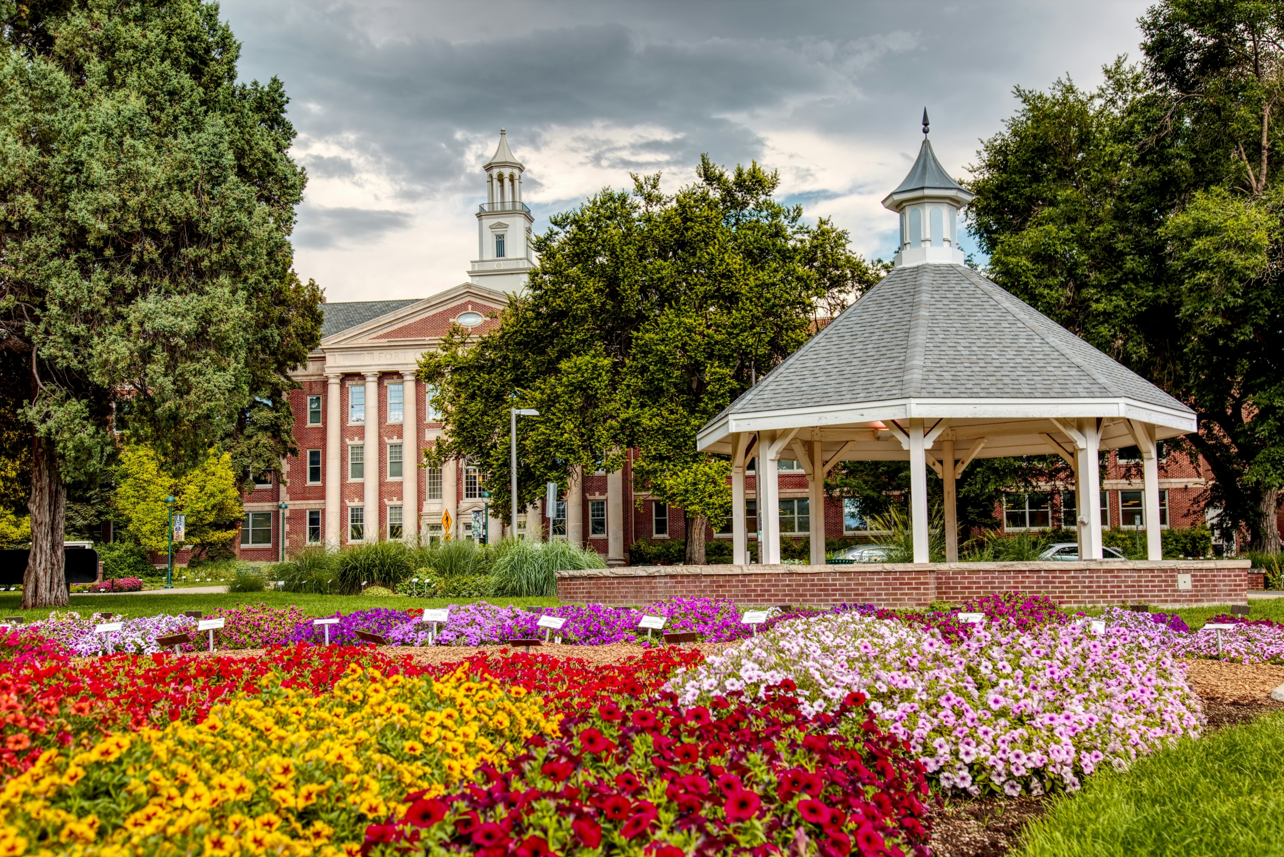 How to Plan a Local Move in Fort Collins Without the Stress
